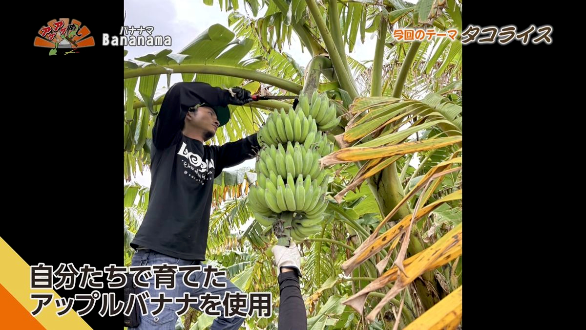 Alt：Bananama（八重瀬町具志頭）｜OTV アゲアゲめし 2026年10月2日放送 　／