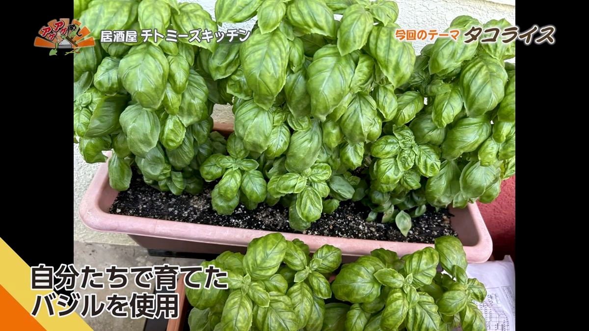 Alt：居酒屋チトミーズキッチン（糸満市西崎）｜OTV アゲアゲめし 2026年10月2日放送 　／
