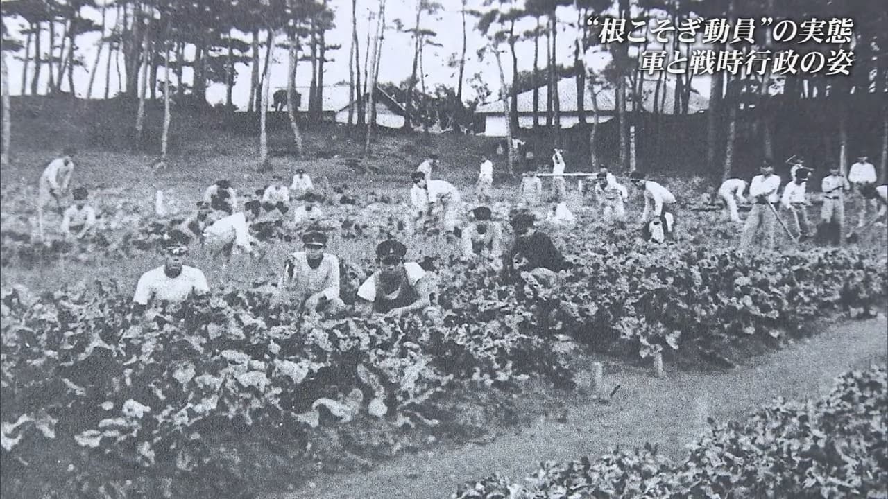 全ての住民を兵力化した沖縄戦の背景にあった日本軍の失敗と戦時行政