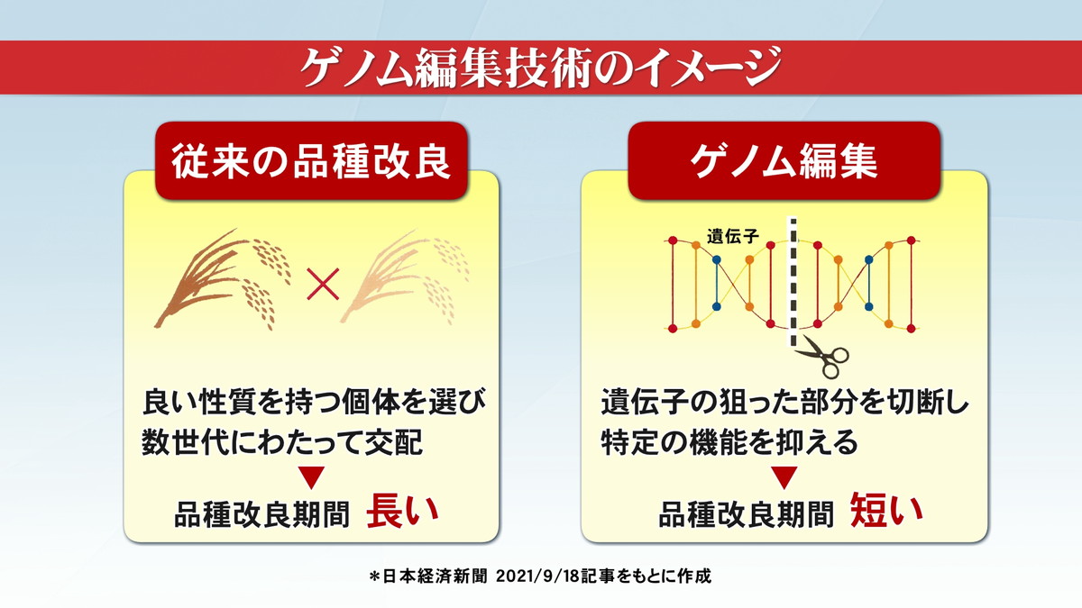 ゲノム編集技術のイメージ