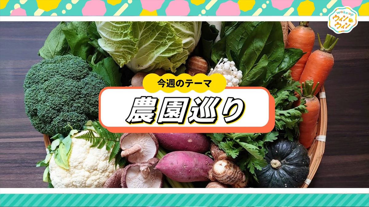 ウィンウィン 2025年10月19日放送