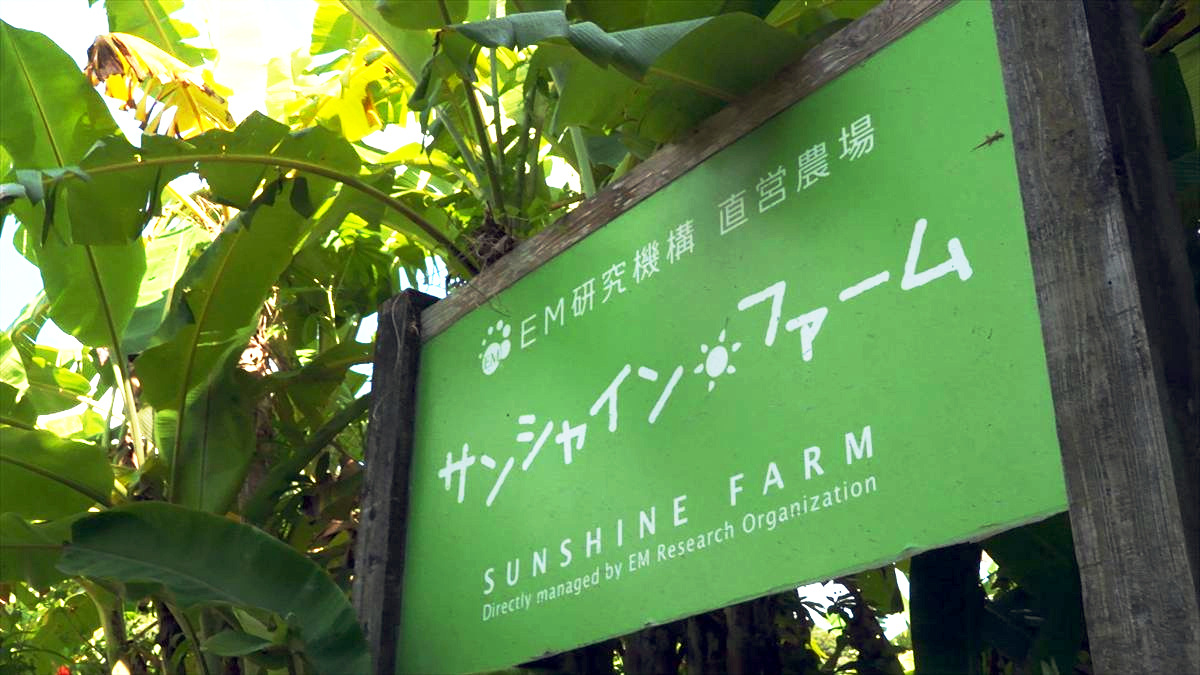 ウィンウィン 2025年10月19日放送