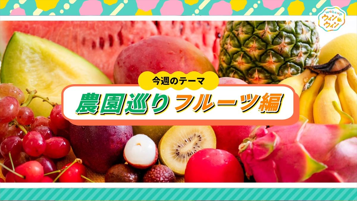 ウィンウィン 2025年10月26日放送