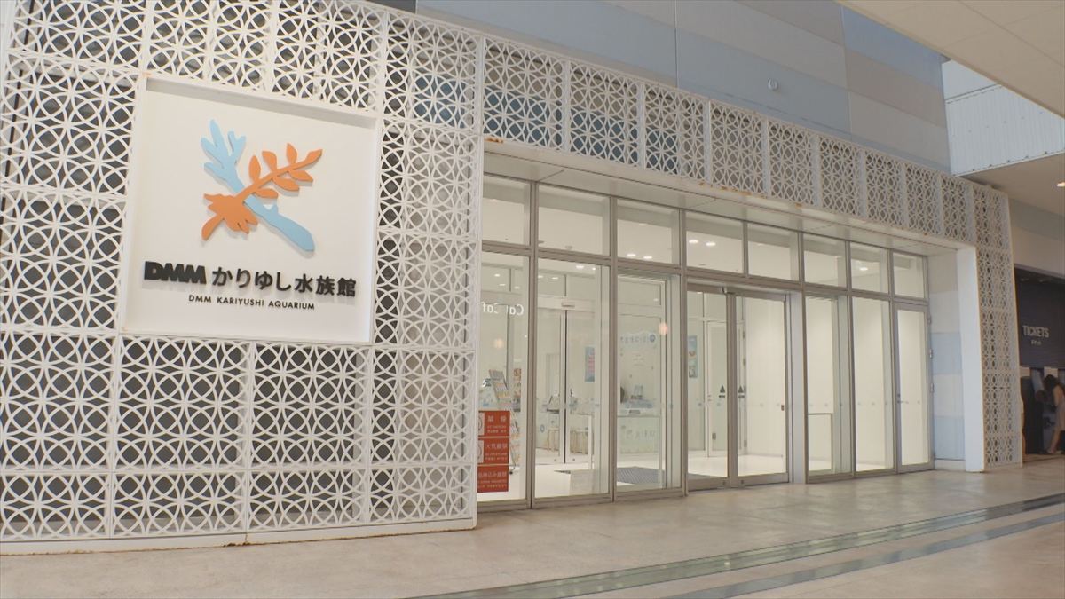 ウィンウィン　2025年11月9日放送