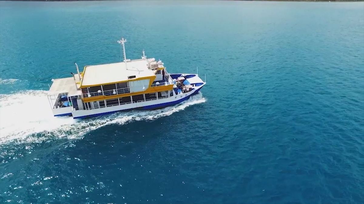 ウィンウィン　2025年11月23日放送