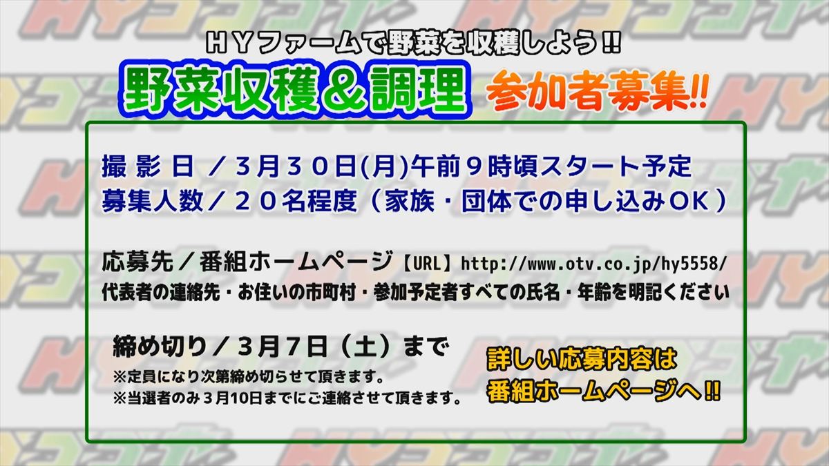HY ゴーゴーゴーヤー　募集