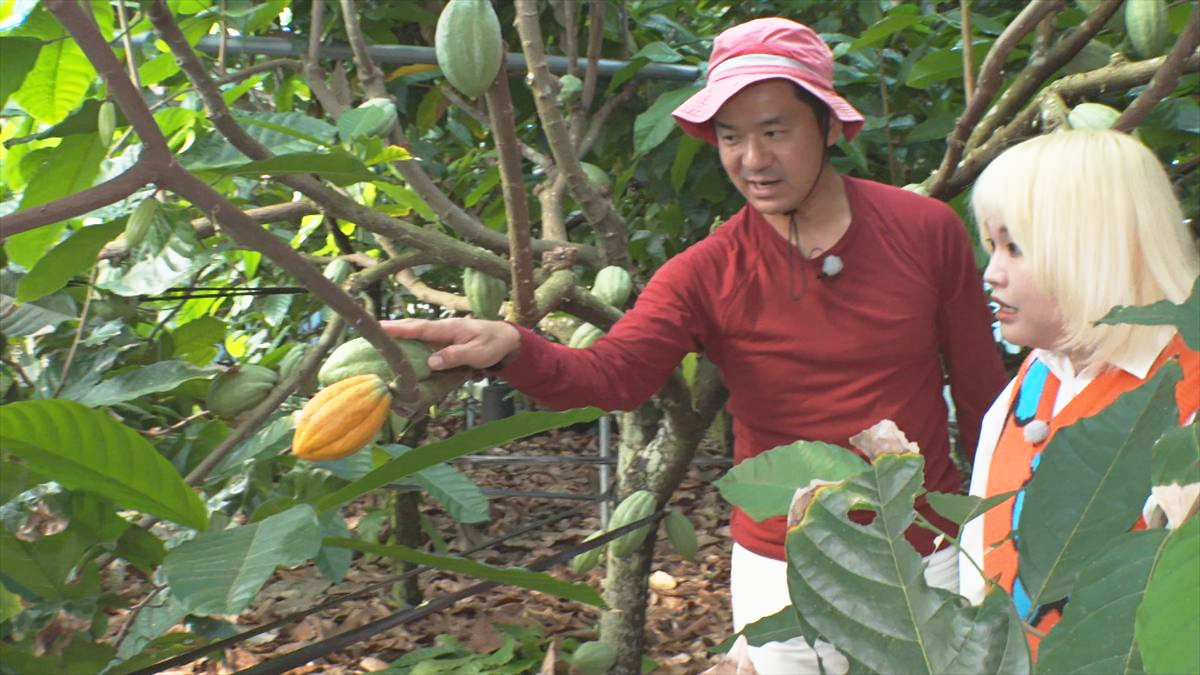 ウィンウィン　2026年2月8日放送