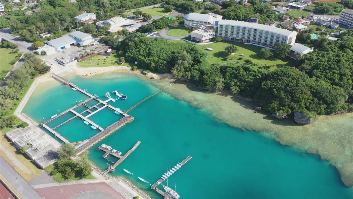 ウィンウィン　2026年4月5日放送