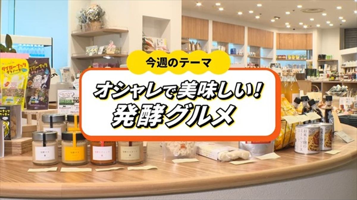 ウィンウィン　2026年6月7日放送