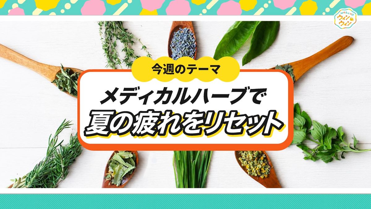 winwin9月6日放送